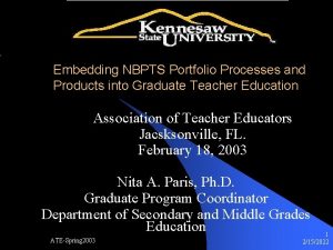 Embedding NBPTS Portfolio Processes and Products into Graduate