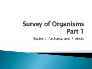 Survey of Organisms Part 1 Bacteria Archaea and