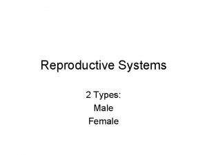 Reproductive Systems 2 Types Male Female Male Reproductive