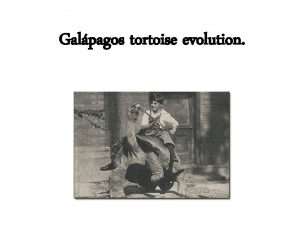 Galpagos tortoise evolution Galpagos Islands These islands are