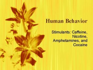 Human Behavior Stimulants Caffeine Nicotine Amphetamines and Cocaine