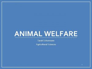 ANIMAL WELFARE Sarah Schurmann Agricultural Sciences 1 Animal