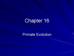 Chapter 16 Primate Evolution What is a Primate
