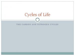 Cycles of Life THE CARBON AND NITROGEN CYCLES