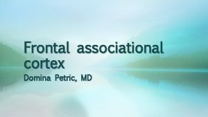 Frontal associational cortex Domina Petric MD Frontal associational