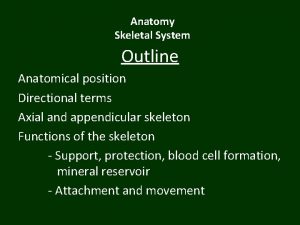 Anatomy Skeletal System Outline Anatomical position Directional terms