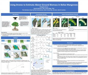 Using Drones to Estimate AboveGround Biomass in Belize