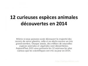 12 curieuses espces animales dcouvertes en 2014 Mme