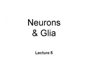 Neurons Glia Lecture 5 Nature of the Nervous