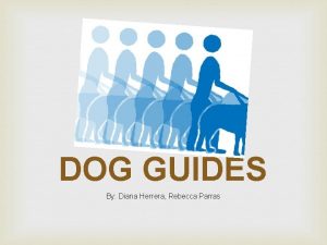 DOG GUIDES By Diana Herrera Rebecca Parras Dog