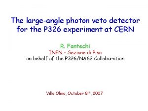 The largeangle photon veto detector for the P