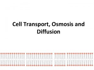 Cell Transport Osmosis and Diffusion Cell Transport Cells