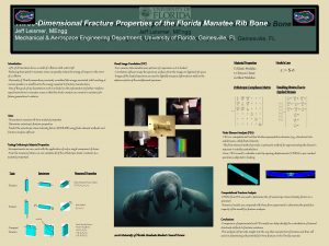 ThreeDimensional Fracture Properties of the Florida Manatee Rib