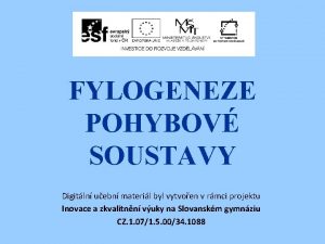 FYLOGENEZE POHYBOV SOUSTAVY Digitln uebn materil byl vytvoen