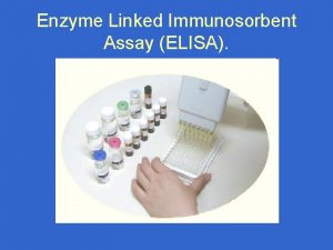 Enzyme Linked Immunosorbent Assay ELISA What is ELISA