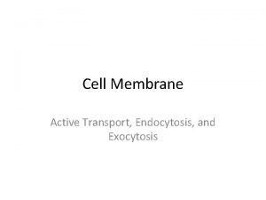Cell Membrane Active Transport Endocytosis and Exocytosis Cell