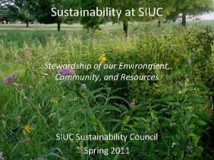 Sustainability at SIUC Stewardship of our Environment Community