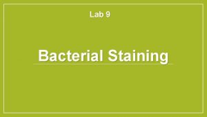 Lab 9 Bacterial Staining Bacterial cells are usually