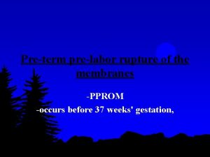 Preterm prelabor rupture of the membranes PPROM occurs