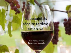 Le beaujolais rcolte tardive est arriv Par Nanou