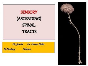 SENSORY ASCENDING SPINAL TRACTS Dr Jamila Dr Essam