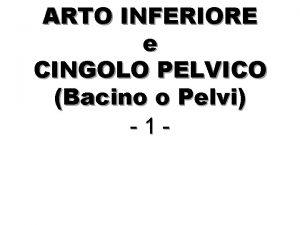 ARTO INFERIORE e CINGOLO PELVICO Bacino o Pelvi