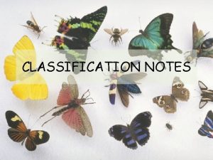 CLASSIFICATION NOTES Classification grouping of objects based on