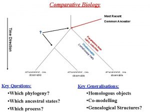 Comparative Biology Most Recent Common Ancestor Time Direction