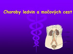 Choroby ledvin a moovch cest I SYMPTOMATOLOGIE Hlavnmi