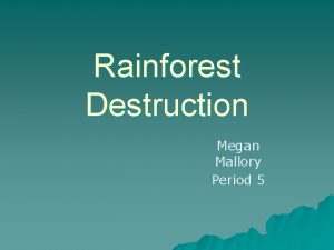 Rainforest Destruction Megan Mallory Period 5 Background Information