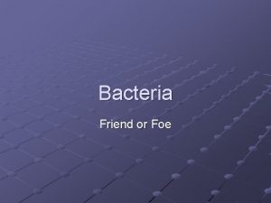 Bacteria Friend or Foe Characteristics Bacteria belong to
