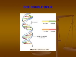DNA DOUBLE HELIX Francis Crick n proposed the