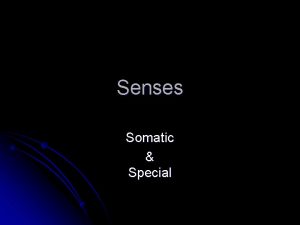 Senses Somatic Special Types of Sensory Receptors Chemoreceptors