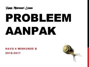 PROBLEEM AANPAK HAVO 4 WISKUNDE B 2016 2017