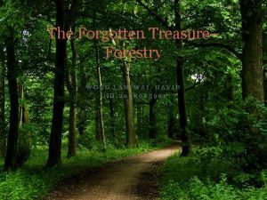 The Forgotten Treasure Forestry WONG LAM WAI DAVID