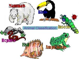 Animal Classification Animal Classification When it comes to