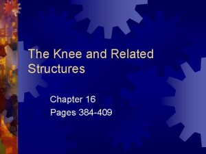 The Knee and Related Structures Chapter 16 Pages