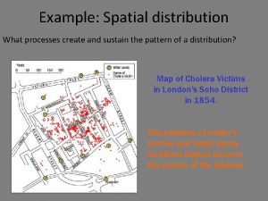 Example Spatial distribution What processes create and sustain