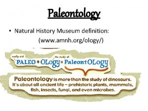 Paleontology Natural History Museum definition www amnh orgology