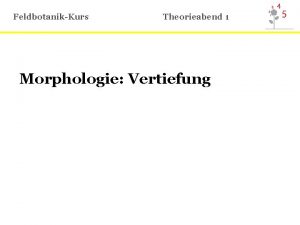 FeldbotanikKurs Theorieabend 1 Morphologie Vertiefung Morphologie Bltenhlle Kelch