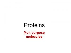 Proteins Multipurpose molecules Proteins Most structurally functionally diverse
