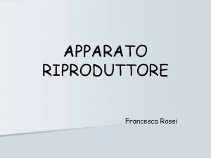 APPARATO RIPRODUTTORE Francesca Rossi n 1 2 3