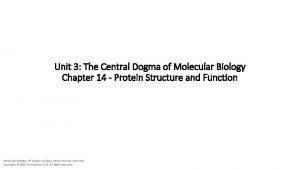 Unit 3 The Central Dogma of Molecular Biology