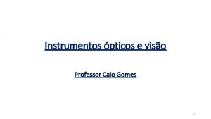 Instrumentos pticos e viso Professor Caio Gomes 1