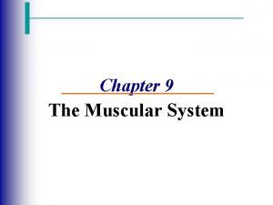 Chapter 9 The Muscular System The Muscular System
