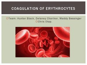 COAGULATION OF ERYTHROCYTES Team Hunter Black Delaney Chariker