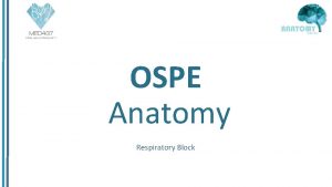 OSPE Anatomy Respiratory Block Please note that these