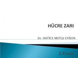 HCRE ZARI Dr HATCE MUTLU EYSON 2 Ksm