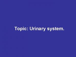 Topic Urinary system Functions 1 Removes toxic of