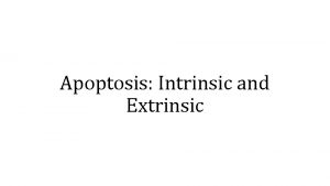 Apoptosis Intrinsic and Extrinsic Apoptosis Greek falling off